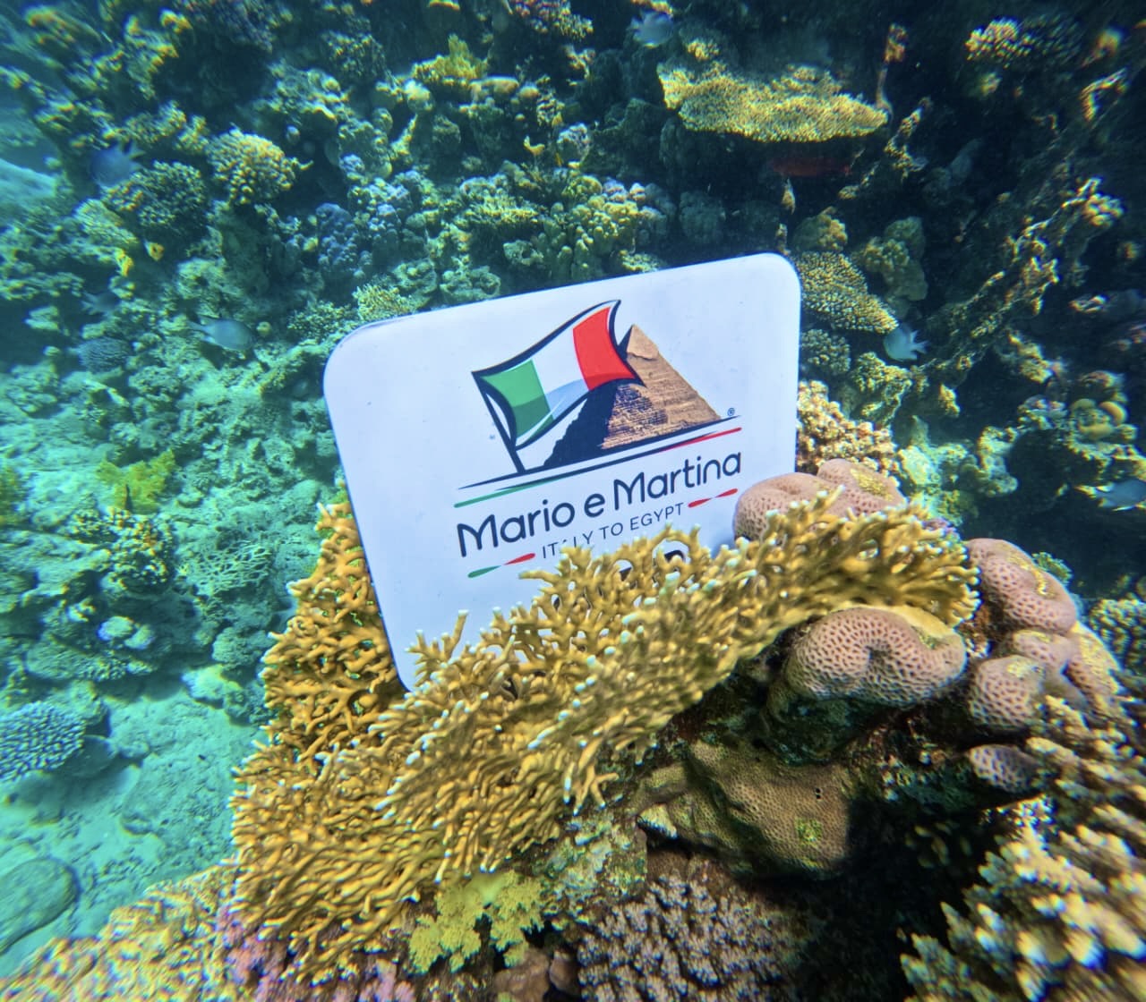 Pacchetto Silver – Sharm el-Sheikh