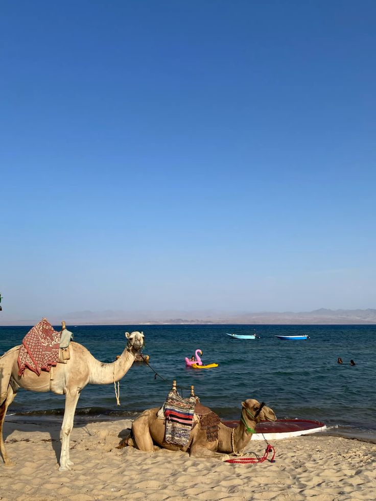 Safari Blue Hole a Dahab | Sharm el-Sheikh