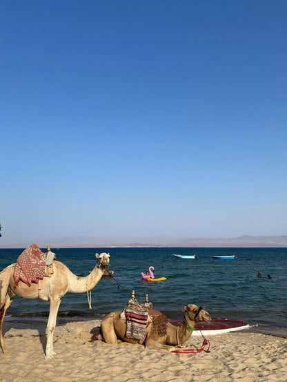 Safari Blue Hole a Dahab | Sharm el-Sheikh
