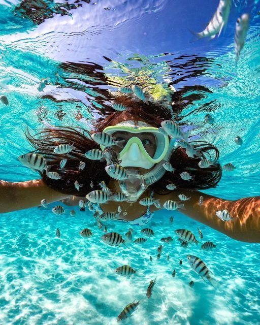Ras Mohammed via Terra – Standard | Sharm el-Sheikh