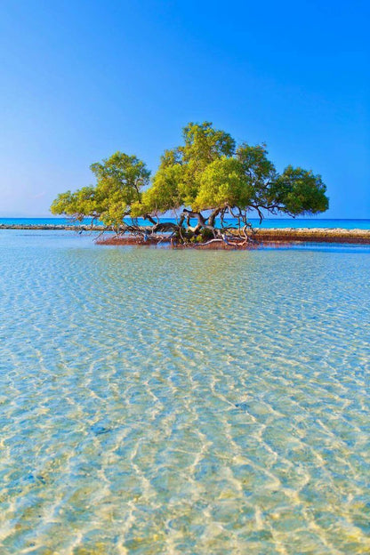 Ras Mohammed via Terra – Standard | Sharm el-Sheikh