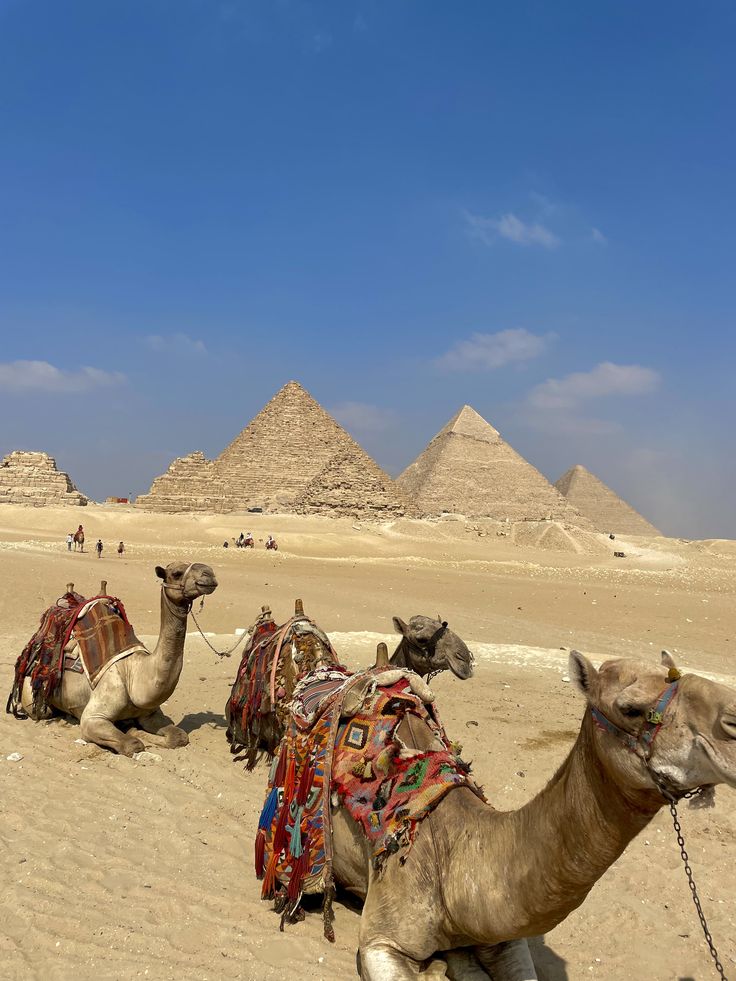 Cairo via Terra in Bus | Sharm el-Sheikh