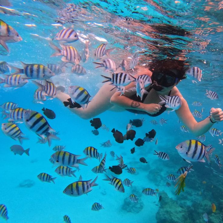 Isola di Tiran | Sharm el-Sheikh