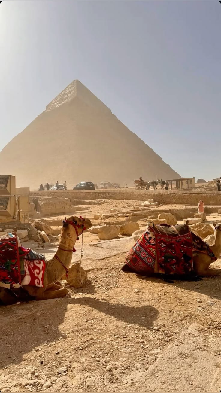 Cairo via Terra in Bus | Sharm el-Sheikh