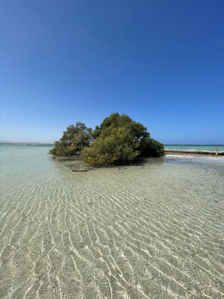 Ras Mohammed via Terra – Standard | Sharm el-Sheikh