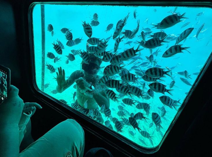 Sottomarino | Sharm el-Sheikh