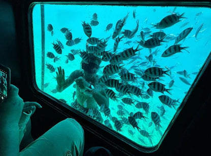 Sottomarino | Sharm el-Sheikh