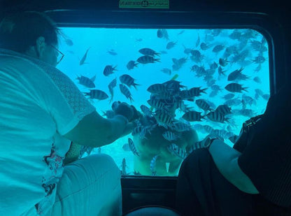 Sottomarino | Sharm el-Sheikh
