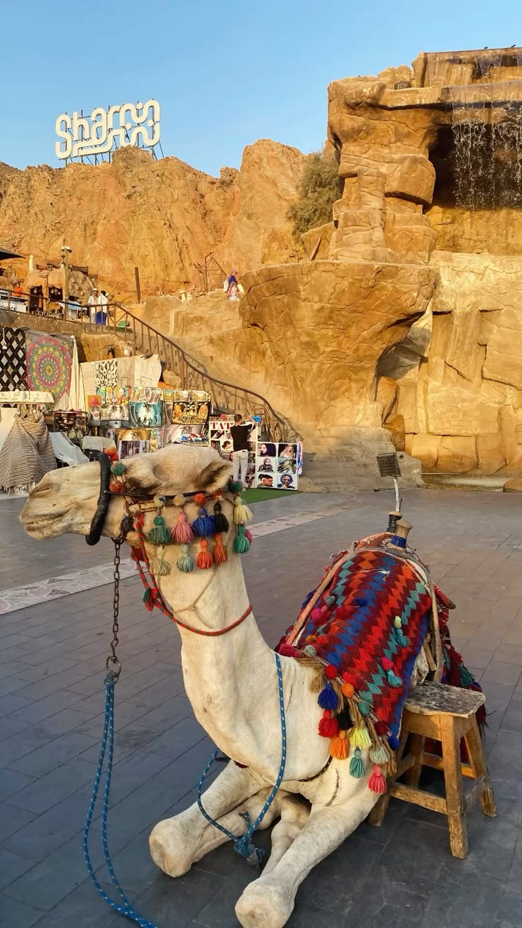 Pacchetto Gold – Sharm el-Sheikh