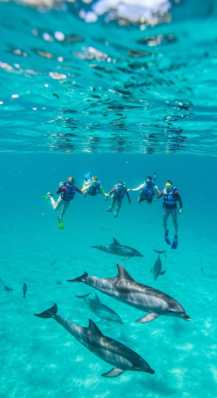 Isola di Tiran | Sharm el-Sheikh