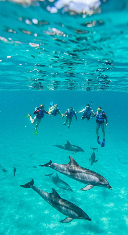 Isola di Tiran | Sharm el-Sheikh