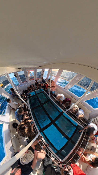 Giochi d'Acqua e Glass Boat | Sharm el-Sheikh